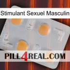 Male Sexual Stimulant 24
